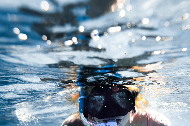 Discover Snorkeling Tour In The North Of Mauritius