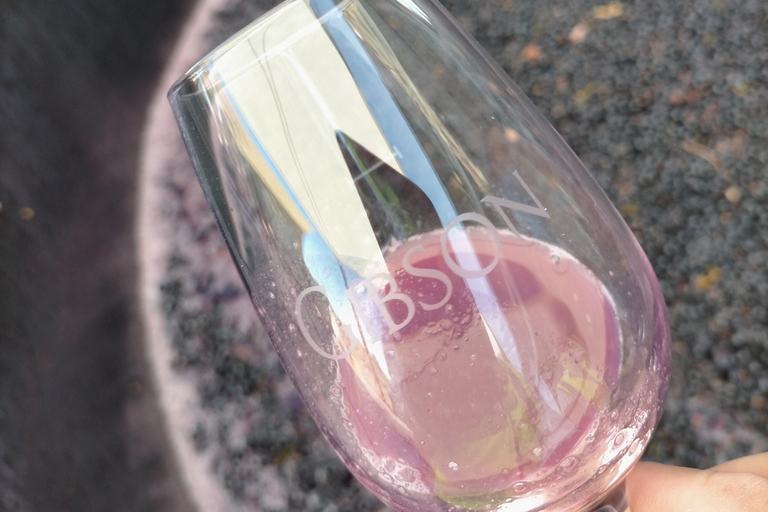 Barossa: Wine Tasting Tour