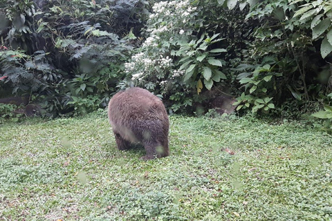 Från Jakarta Privat Taman Safari Dagsutflykt