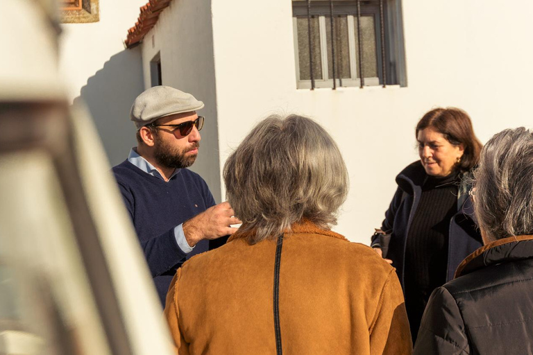 Porto: Private Sightseeing Tour by VW Kombi (2–8 People) Porto: Exclusive Sightseeing Tour- VW Kombi (2 to 8 people)