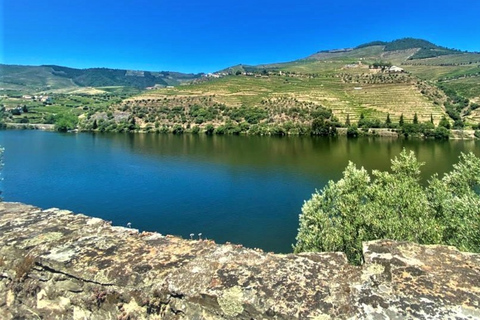 Porto: Dourovallei-ervaring met 3 wijnhuizen en lunchDouro Valley Tour: 3 wijngaarden allemaal inbegrepen