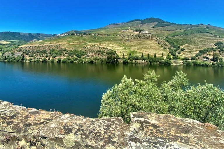 Porto: Dourovallei-ervaring met 3 wijnhuizen en lunchDouro Valley Tour: 3 wijngaarden allemaal inbegrepen