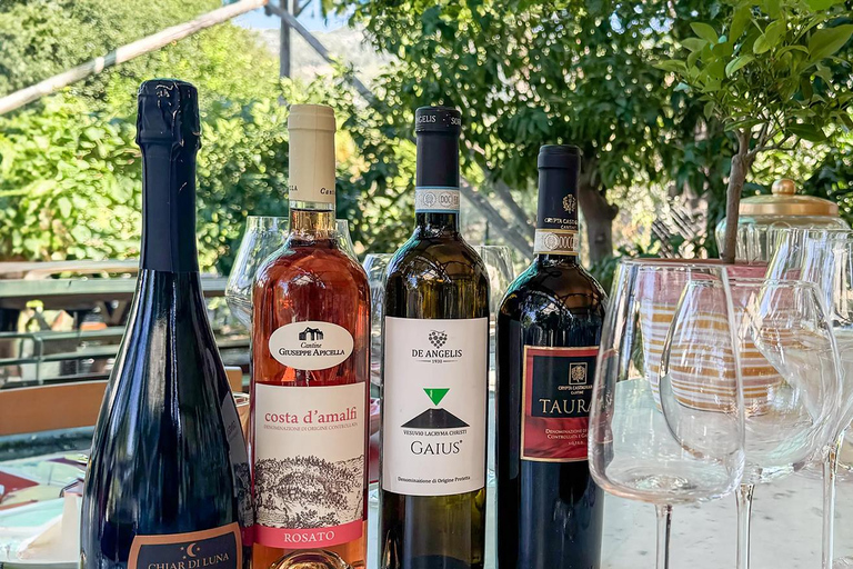 Lunch with wine tasting in Sorrento and pickup in a Fiat 500