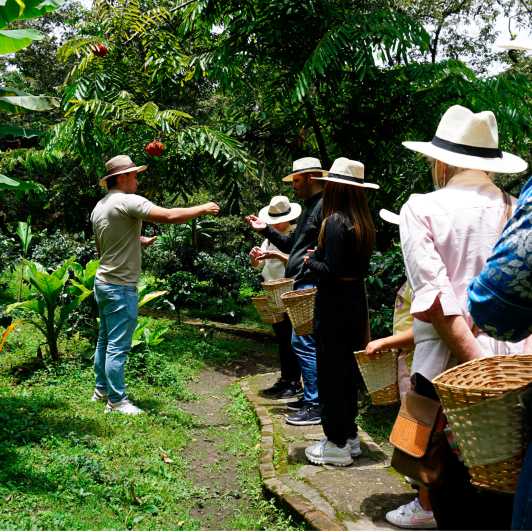 De Bogotá: Fazenda de café e passeio pelas Cataratas de Tequendama