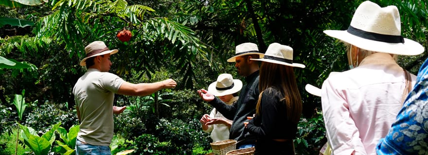 De Bogotá: Excursão a Fazenda de Café e Cataratas de Tequendama