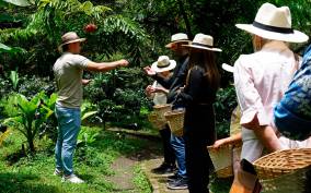 From Bogotá: Coffee Farm and Tequendama Falls Tour