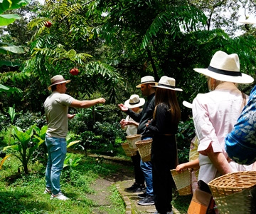 From Bogotá: Coffee Farm and Tequendama Falls Tour