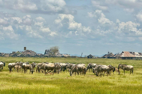 Nairobi: 4 Days epic trip to Amboseli, Tsavo West & East