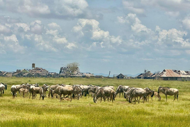 Nairobi: 4 Days epic trip to Amboseli, Tsavo West & East