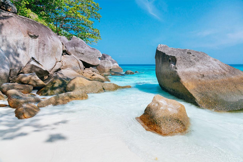 Phuket: Similan Islands Speedboat Tour with Lunch