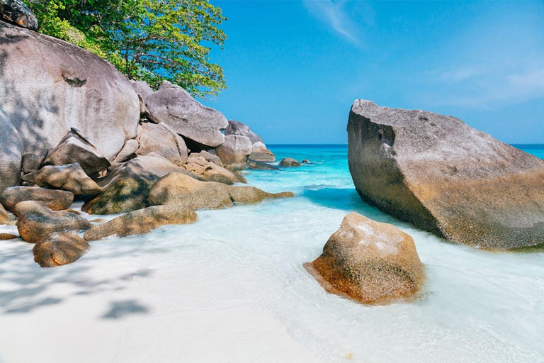 Phuket: Similan Islands Speedboat Tour with Lunch