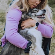 Inari : visite de la ferme Husky