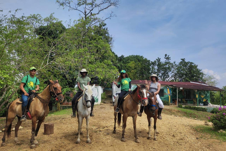 UTV & Horseback Tour with Wildlife Views from Cartagena