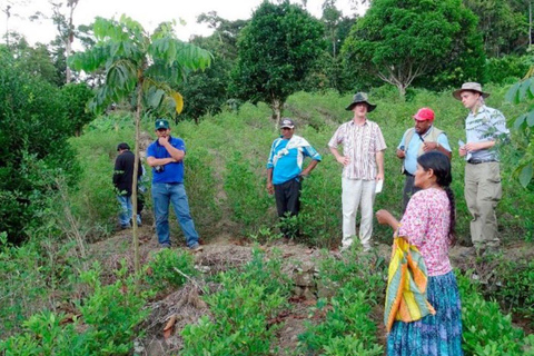 The Yungas , Coca Tour , Aymara culture