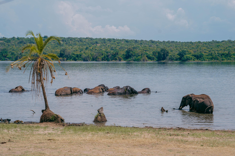 Kigali: Akagera National Park Safari with Boat Cruise