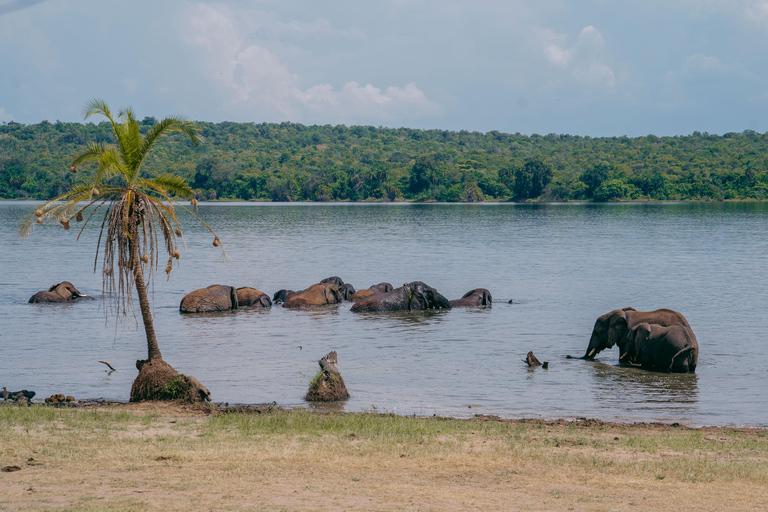 Kigali: Akagera National Park Safari with Boat Cruise