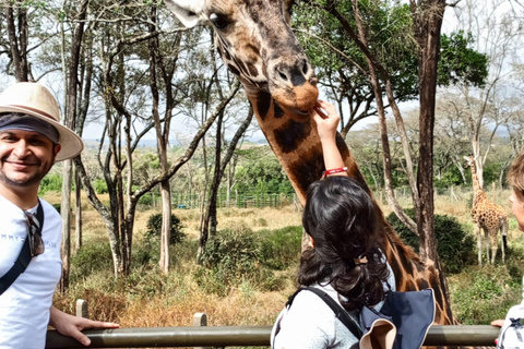 Nairobi: Parco nazionale, orfanotrofio degli elefanti e tour delle giraffe