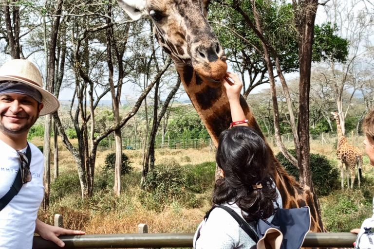 Nairobi: Nationalpark, elefantbarnhem och giraffutflykt