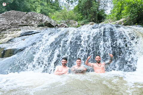 Chiang Mai: Elephant Sanctuary & Watch Sunrise at Temple