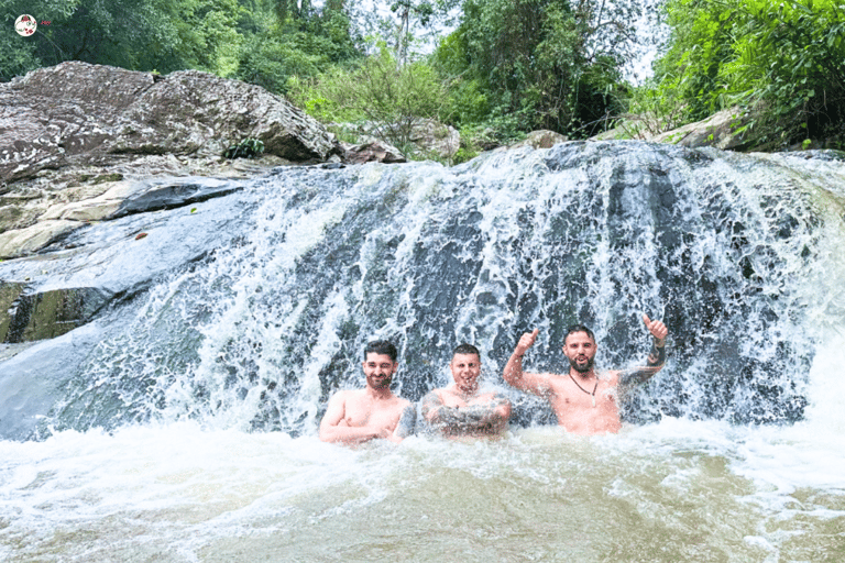 Chiang Mai: Elephant Sanctuary & Watch Sunrise at Temple