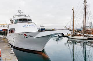 Reykjavík: Whale-Watching-Bootsfahrt auf der Amelia Rose Yacht