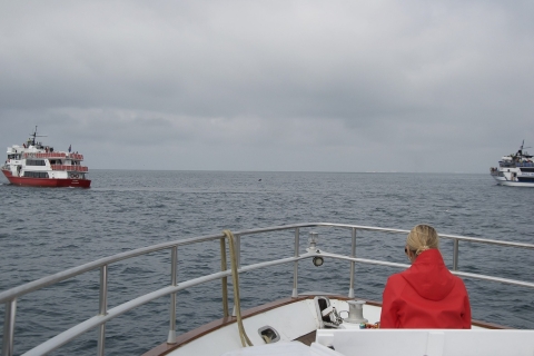 Reykjavik: obserwacja wielorybów i rejs luksusowym jachtem maskonurówWycieczka z miejscem spotkania