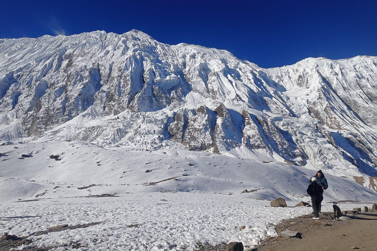 从加德满都/博卡拉出发：10天安纳普尔纳环线徒步从加德满都/博卡拉出发：10天安纳普尔纳环线徒步之旅