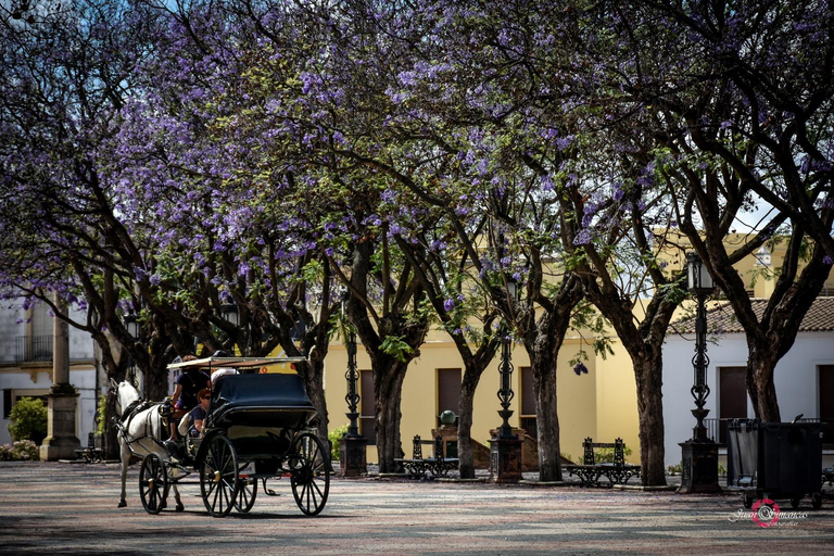 Jerez au coucher du soleil