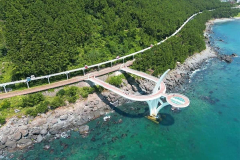 Busan: Customized Private Car Tour City Sights&Local Gems Pick-up anywhere in Busan