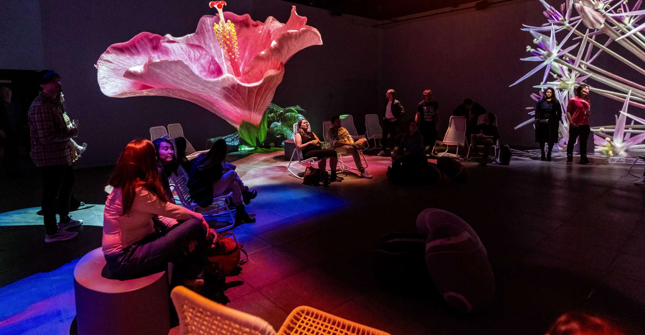 Montreal: OASIS Immersion Entry Ticket photo 5