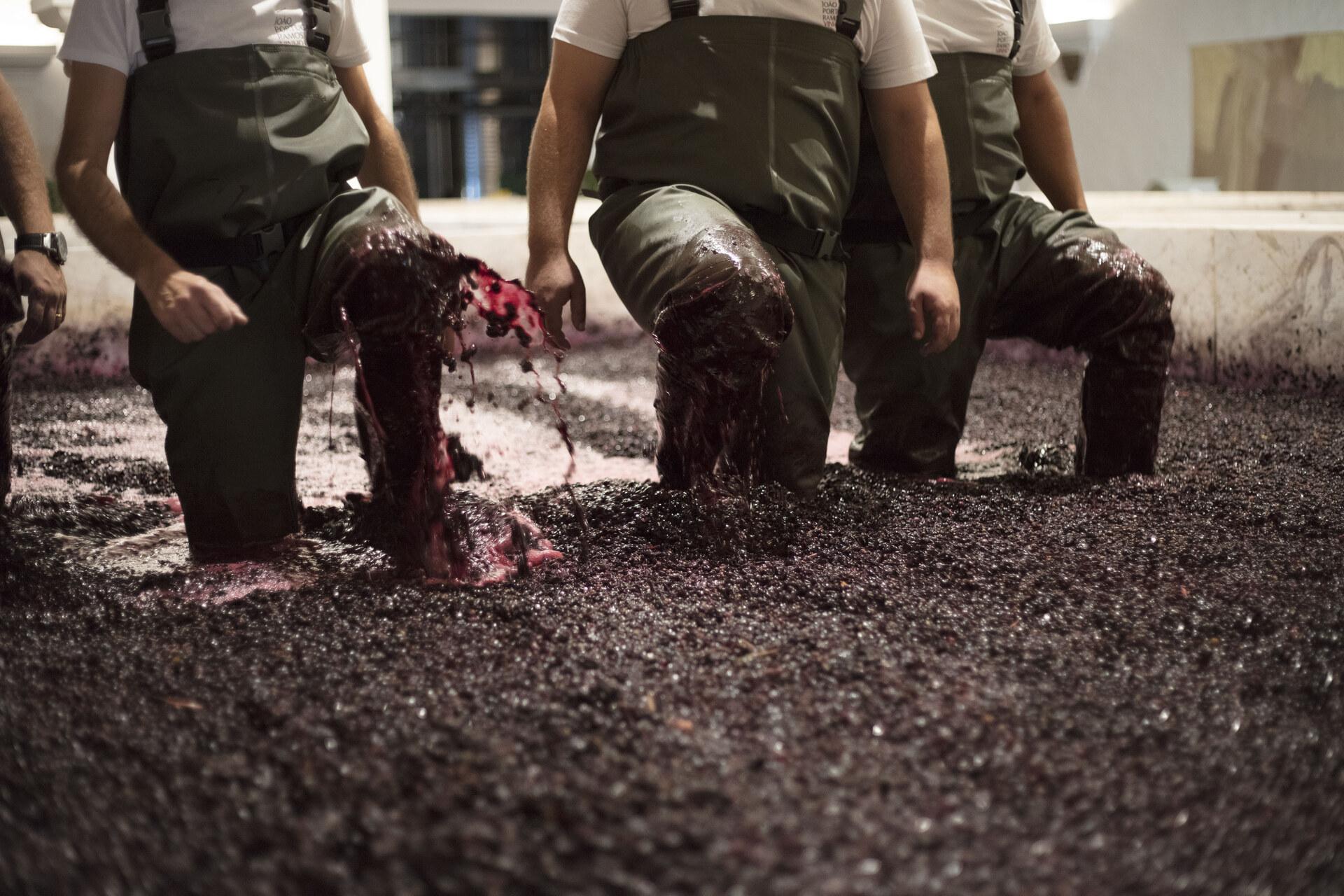 Douro: Traditionelle Weinlese mit Traubenstampfen und Verkostung