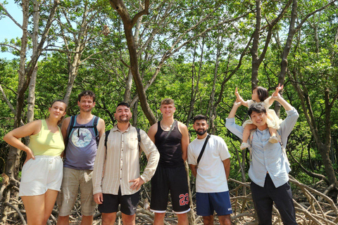 Desde Ciudad Ho Chi Minh: Paseo por los Manglares y la Isla de los Monos de Can Gio