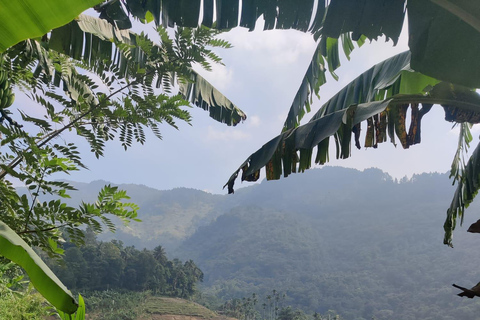 Kandy: Knuckles Mountain Range Guided Trekking Tour