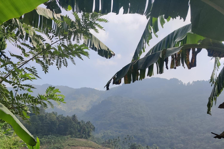 Kandy: Knuckles Mountain Range Guided Trekking Tour