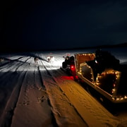 Night-time experience in a snowmobile-pulled sleigh in Ivalo