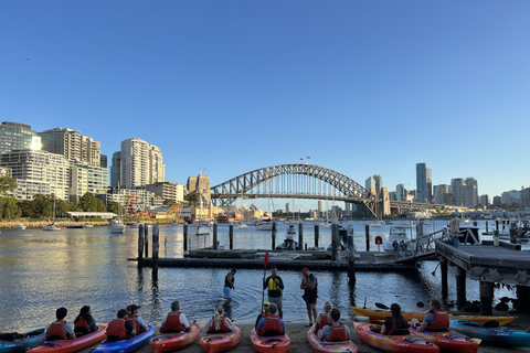 Sydney: Kajaktur i solnedgången i Sydneys hamnSydney: Kajaktur vid solnedgången i Sydneys hamn - enkel kajak