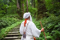 Yamabushido Three Peaks Reset Program - Housity