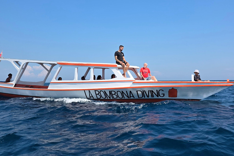 Gili Trawangan: Beginner Scuba Diving Experience W/Pick Up