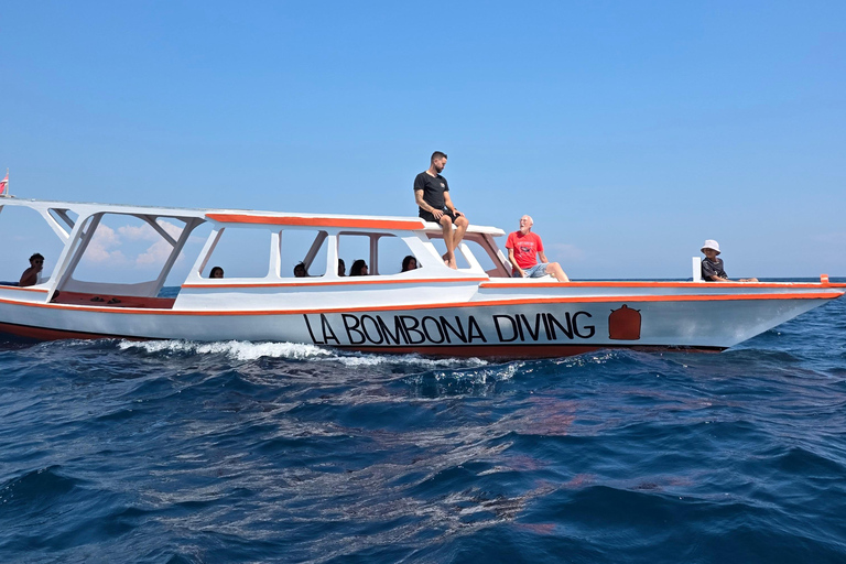 Gili Trawangan: Beginner Scuba Diving Experience W/Pick Up