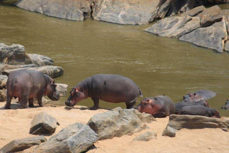 12 Day Kenya Tanzania Big Five, Culture & Photography Safari