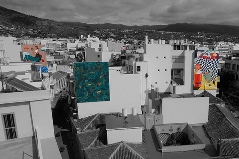 Los Llanos de Aridane: Art & Heritage Private Walking Tour