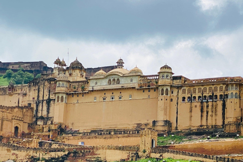 Jaipur: Elephant Encounter & Royal Sightseeing by Car Jaipur: Elephant Encounter & Royal Sightseeing by Tuk-Tuk