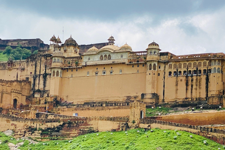 Jaipur: Elephant Encounter & Royal Sightseeing by Car Jaipur: Elephant Encounter & Royal Sightseeing by Tuk-Tuk