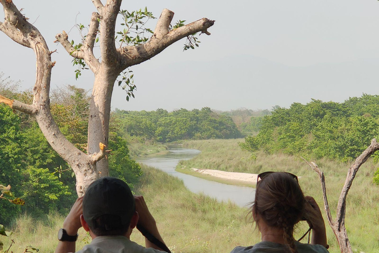 Excursión a Chitwan - Safari con rinocerontes en NepalChitwan