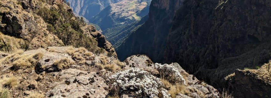 Monts Simien : randonnée de trois jours avec guide et repas
