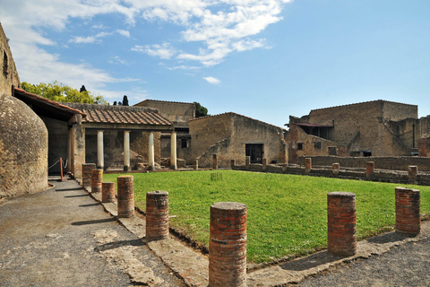 Desde Nápoles: Excursión de un día a Pompeya, Herculano y el Vesubio