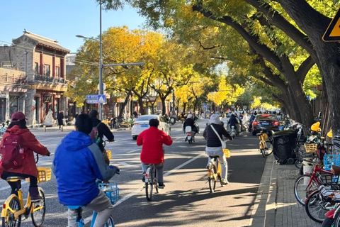 Beijing: Forbidden City Bike Tour with Jingshan Park Entry