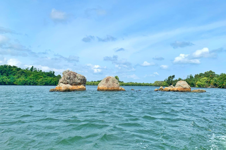 Galle: Koggala River Boat Safari with Monkeys Birds & Nature