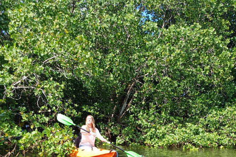 UZI ISLAND MANGROVE CONSAVATION WITH KAYAK TOUR PRIVATE TOUR WITH TRANSFER INCLUDED