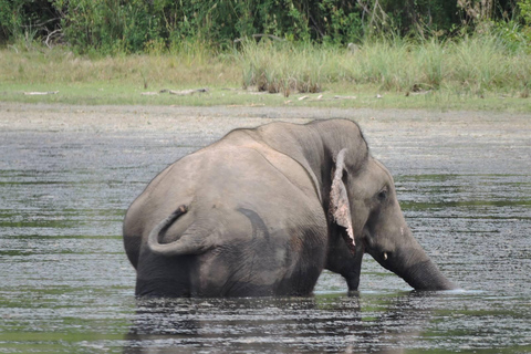 Yala/Mirissa: All Inclusive Full-Day Safari at Yala Park Mirissa/Weligama: All Inclusive Full-Day Safari at Yala Park